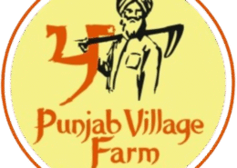 Are Punjabi farm stays becoming the next big thing in Gen Z travel plans?